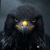 inam.alizai
