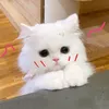 nanbiii_