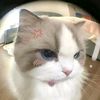 evaa_0701