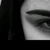 nr_s313