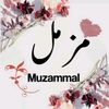 muzamill.abbas.42