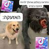 chatgpt_real123