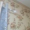 user1881619363861