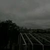 live_story.foru