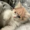 k0lyaa_