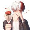 adik_shoto.todoroki