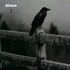 alone.poi493