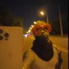 nusuntnicolas1
