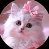 md.rasel.dewan00