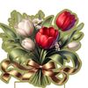 user1124092448336