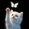 lifelinestory31