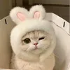 meo_1008
