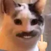 kurtcn67