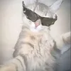 hydrokyti