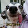 ELOYEBRO