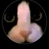 dima59234