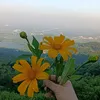 nhungphamthuy4
