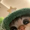 zeang13