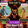 amir.ullah9083