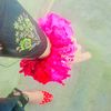 sahil03964