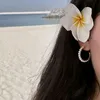 fatma45255