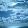 barbarasorato1