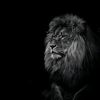 itz.jatt05