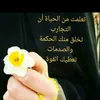 um.mustafa962
