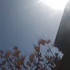 tuniaoficial2