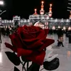 user7053053384155