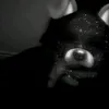crazy_kiwiredbull