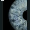 _ya_lublu_mashu