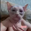 ananyom3