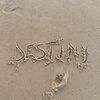 destinyyang