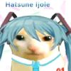 hatsune.ijole