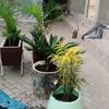 user71052029813013