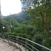 myaasklasl2