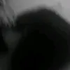 cristina.souza558