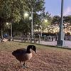 mateogutirrez715