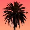 sdfutb