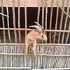 ghghkkkk4