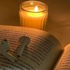 author_504