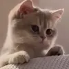 tiktok.comqwerty02