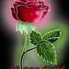 naeem.ahmed.naeem91