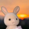 helloitsnay