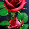 user40111206084400