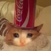 tilladits