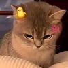 python_wig