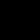 zynp_dyn73