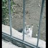 maryamohammed29